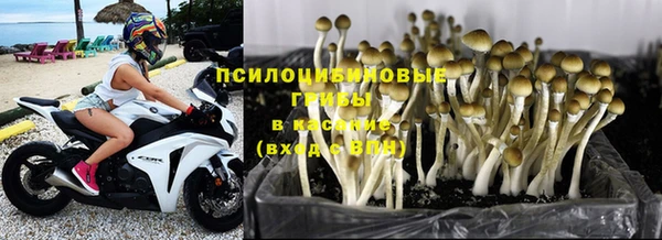 молекула духа Липки