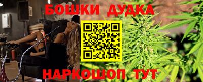 PSILOCYBIN Кандалакша