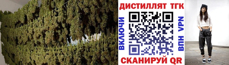 закладки Обь дарк нет какой сайт Дистиллят ТГК вейп