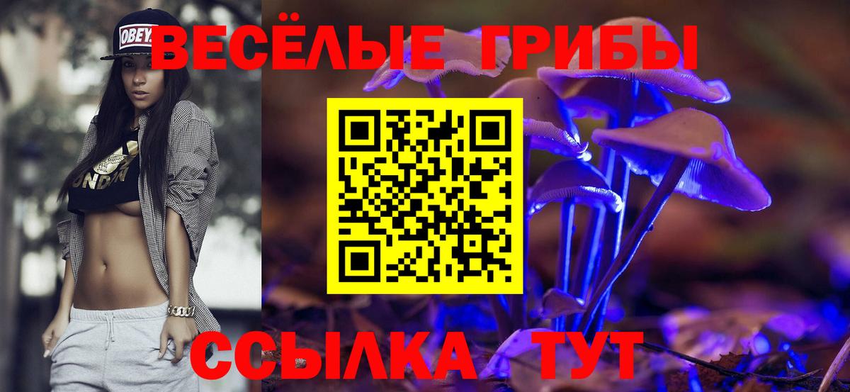 Псилоцибиновые грибы Magic Shrooms  Вход с VPN  Обь 